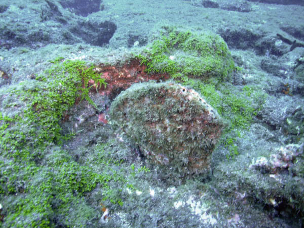 M0010044