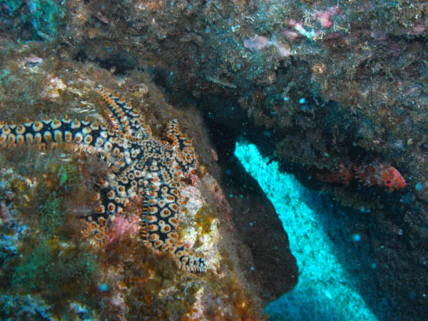 M0010048