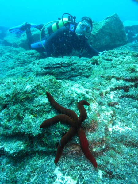 M0010079