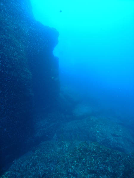 M0010081
