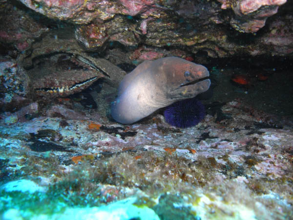 M0010172