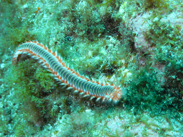 M0010193