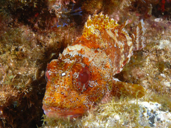 M0010197