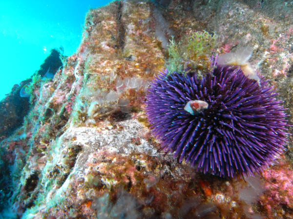 M0010241