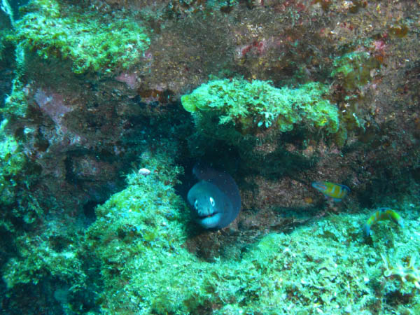 M0010243