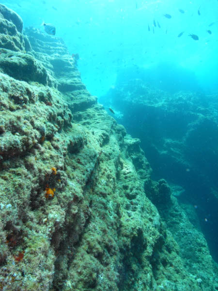 M0010252