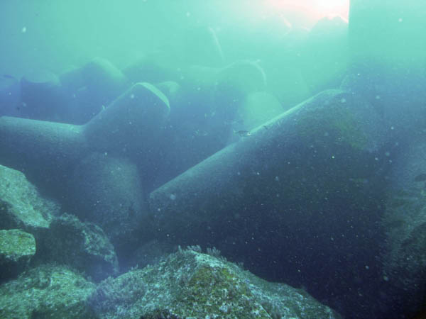 M0010289