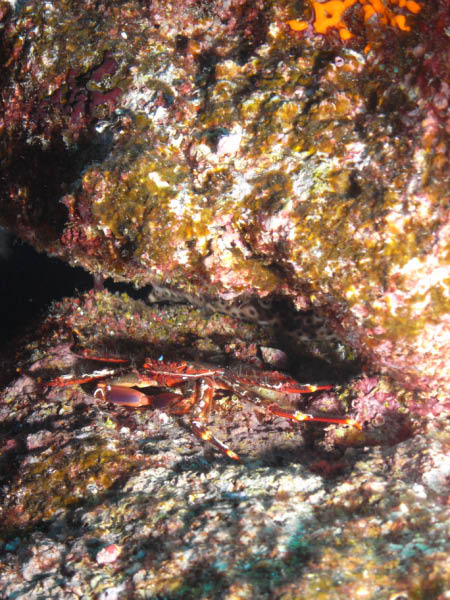 M0010294