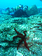 M0010079