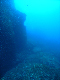 M0010081