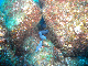 M0010090