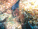 M0010091