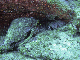 M0010164
