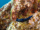 M0010188