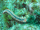 M0010193