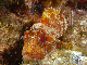 M0010197