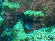 M0010243
