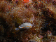 M0010251