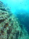 M0010252