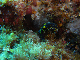 M0010260