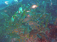 M0010282