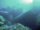 M0010289