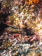 M0010294