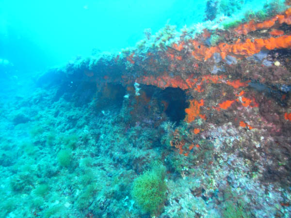 Copia de M0010452