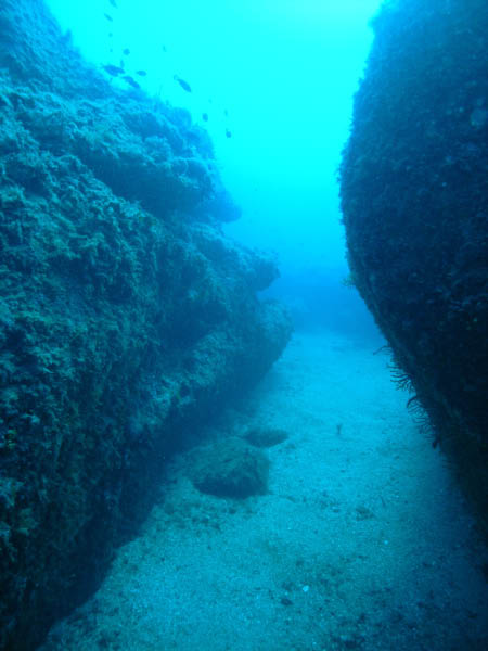 M0010579
