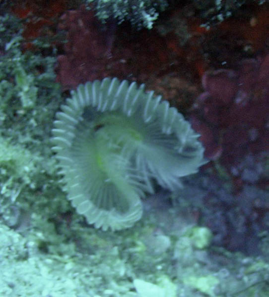 M0010590a