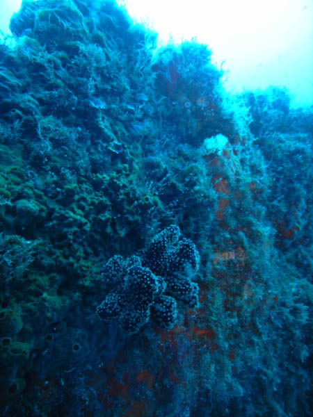 M0010610