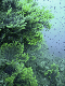 M0010487
