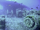 M0010500