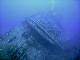 M0010521