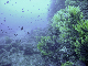 M0010531