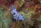 M0010563