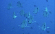 M0010569a