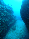 M0010579
