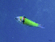 M0010602