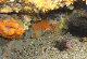 M0010604a