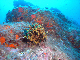 M0010606