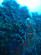 M0010610
