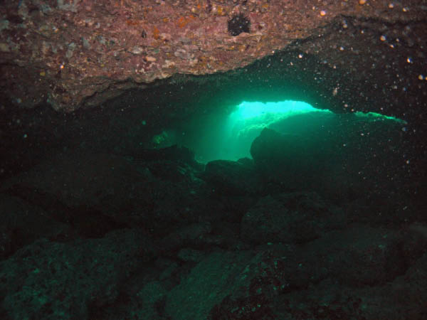 M0010662