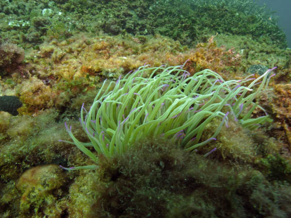 M0010675