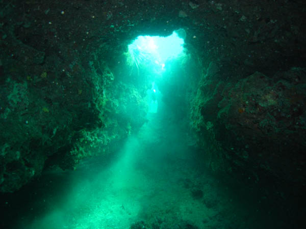 M0010684