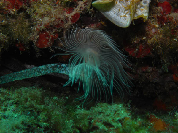M0010693