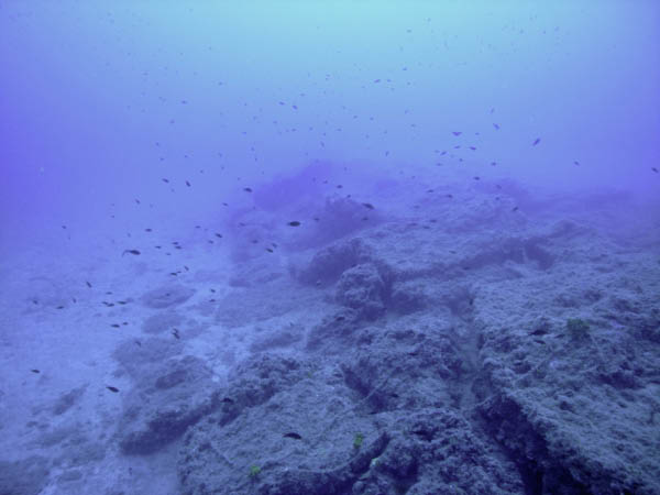 M0010739