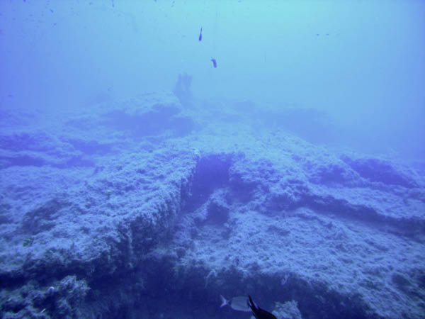 M0010744