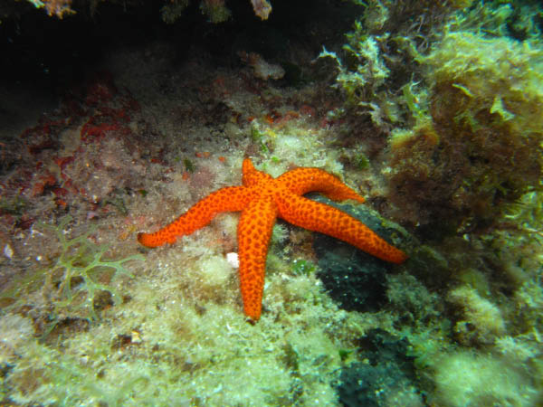 M0010758