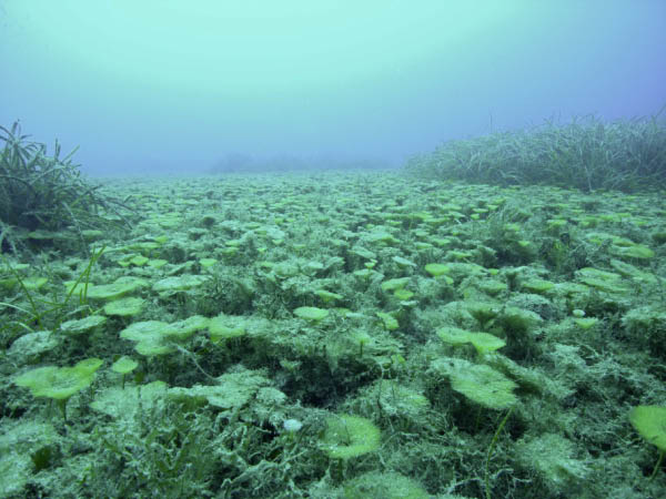 M0010769